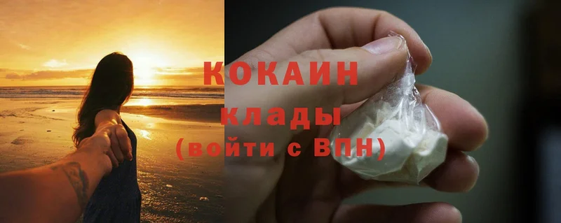 как найти   Бийск  Cocaine FishScale 